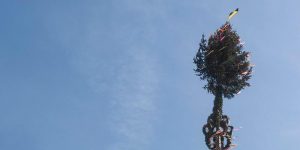 Maibaum Unterschneidheim